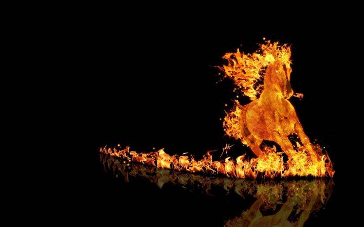 horse, Fire HD Wallpaper Desktop Background