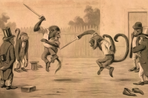 monkeys, Fighting, Fencing