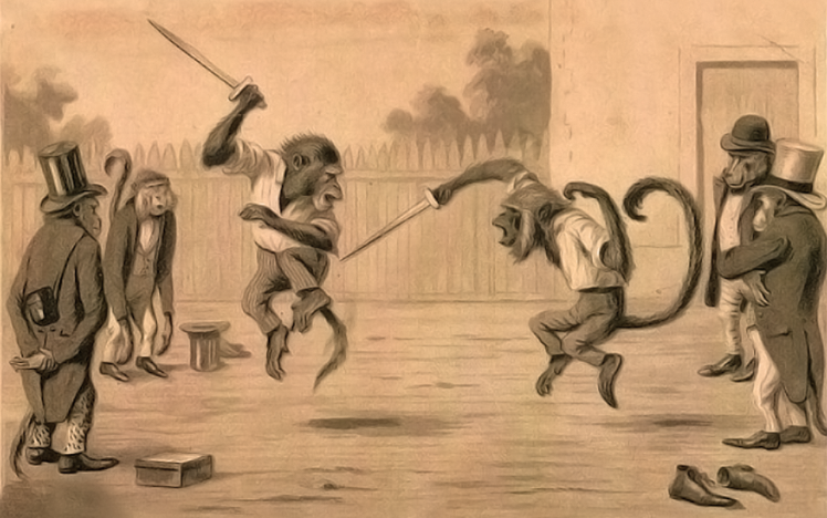 monkeys, Fighting, Fencing HD Wallpaper Desktop Background