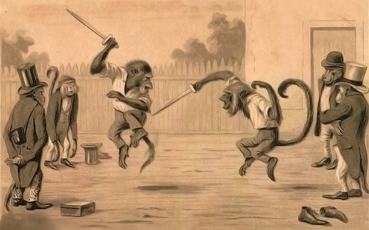 monkeys, Fighting, Fencing Wallpaper