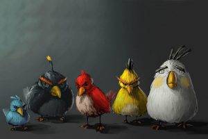 Angry Birds, Realistic