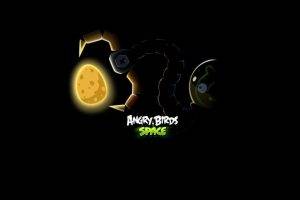 Angry Birds, Angry Birds Space