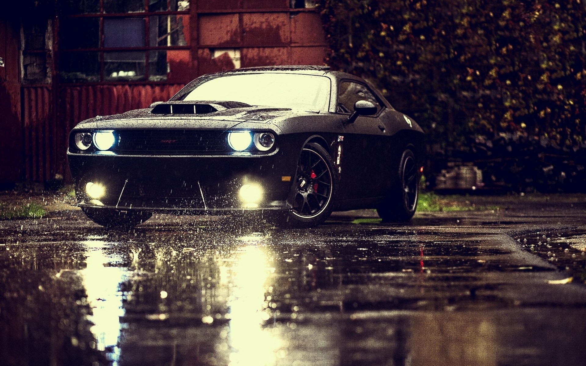 SRT, Dodge, Rain, Lights, Reflections, Black Cars, Sports Car, Dodge Challenger SRT Wallpaper