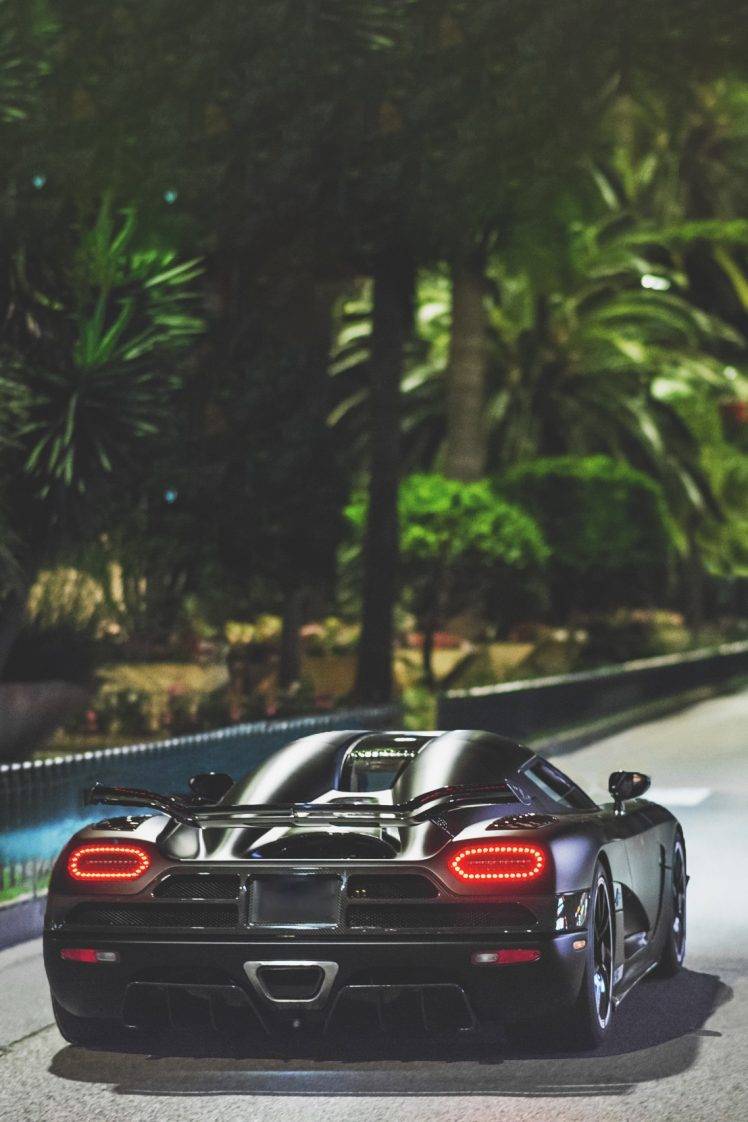 car, Koenigsegg Agera, Palm Trees HD Wallpaper Desktop Background