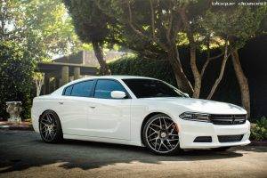 car, Dodge Charger, Trees