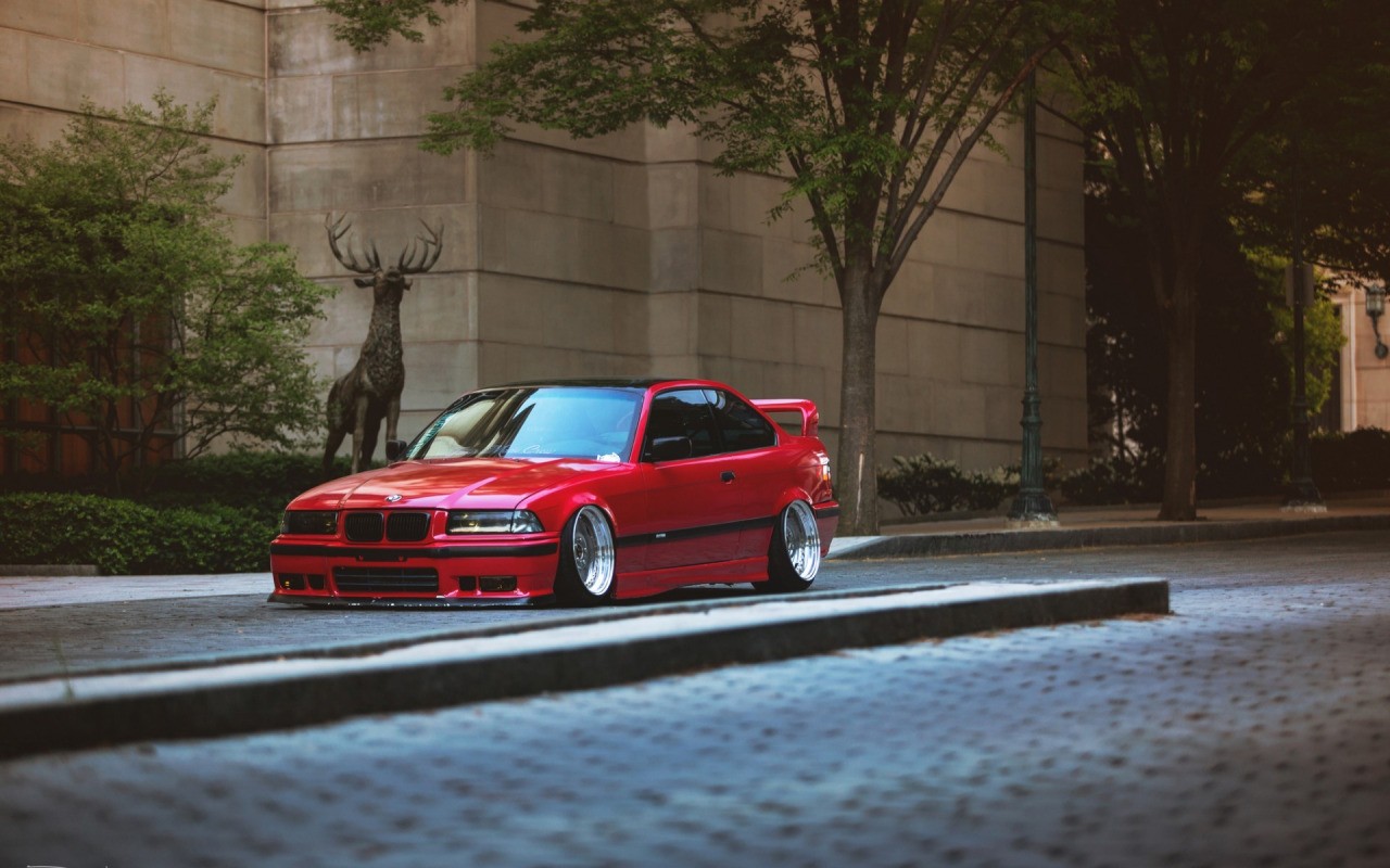 car, BMW E36, Stance, Tuning, Lowered, German Cars, Street, Trees