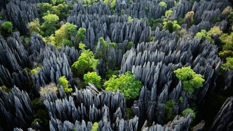Tsingy De Bemaraha National Park, Forest, Madagascar, Nature, Trees, Rock HD Wallpaper Desktop Background