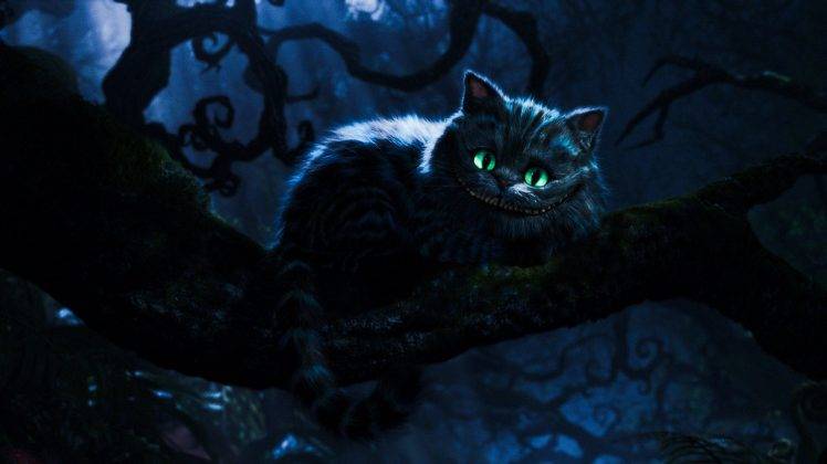 Alice In Wonderland, Cheshire Cat, Cat HD Wallpaper Desktop Background