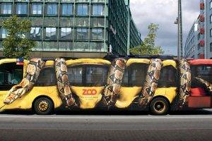 artwork, Buses, Snake, Advertisements