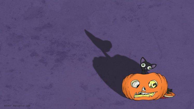 Halloween, Cat HD Wallpaper Desktop Background