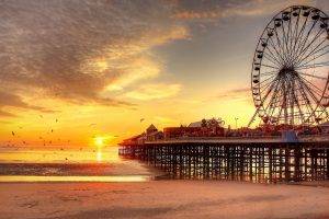 sunset, Beach, Ferris Wheel, UK, Pier, Blackpool, Birds