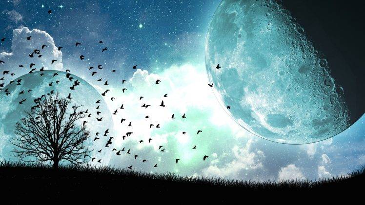 clouds, Moon, Night, Stars, Trees, Birds HD Wallpaper Desktop Background