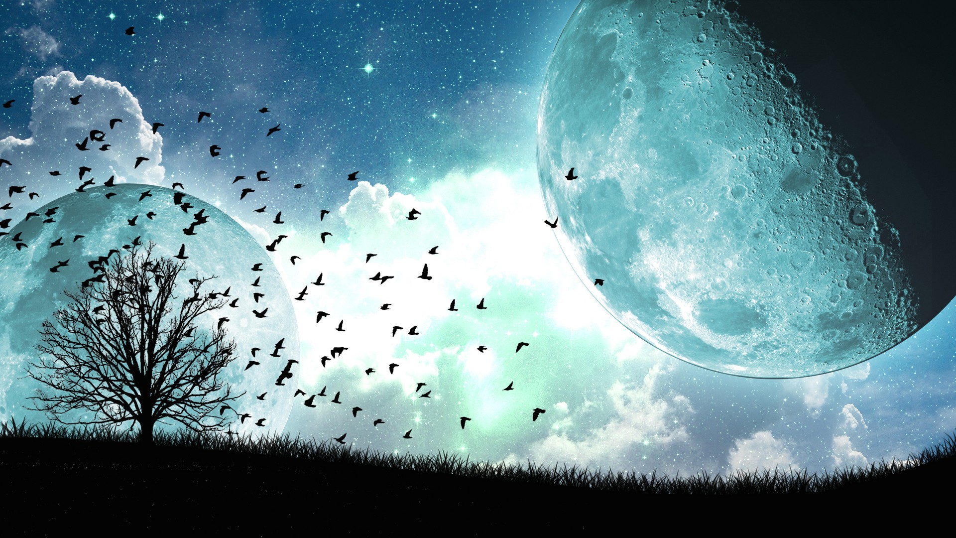 clouds, Moon, Night, Stars, Trees, Birds Wallpaper