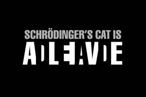 black Background, Simple, Science, Schrodinger Cat