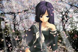anime Girls, School Uniform, Schoolgirls, Cherry Blossom
