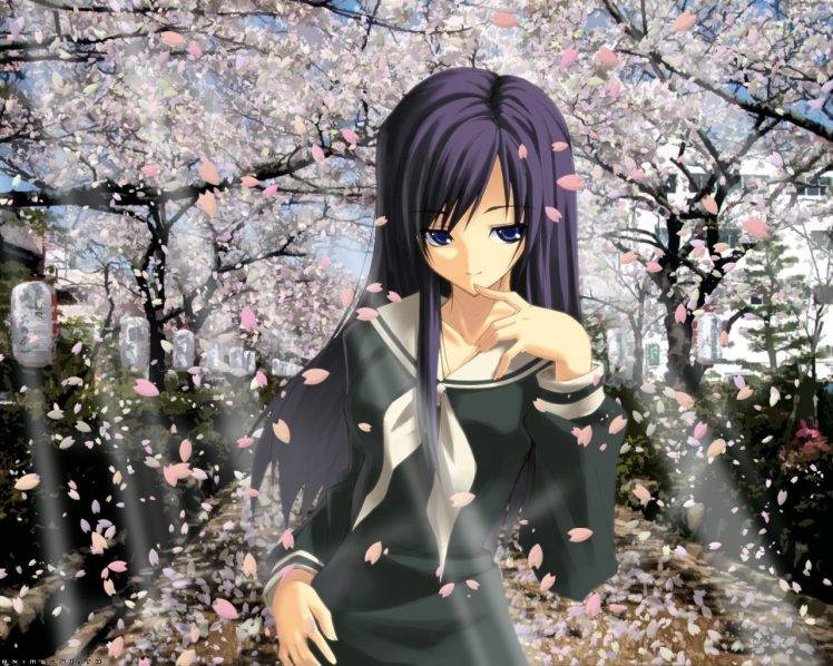 anime Girls, School Uniform, Schoolgirls, Cherry Blossom HD Wallpaper Desktop Background