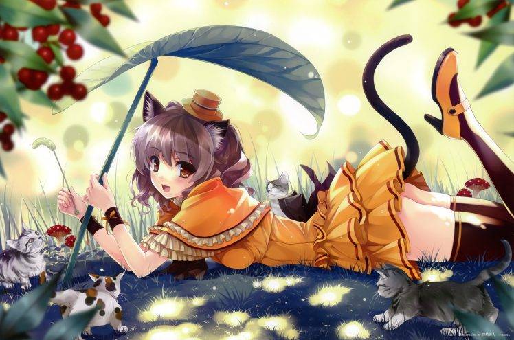 anime, Anime Girls, Nekomimi, Cat HD Wallpaper Desktop Background