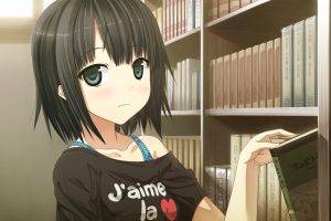 anime, Dark Hair, Anime Girls, Visual Novel, Monobeno, Alishima Alice