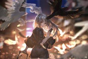 anime Girls, Pigeons
