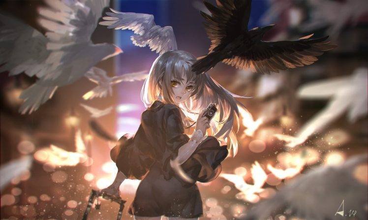 anime Girls, Pigeons HD Wallpaper Desktop Background