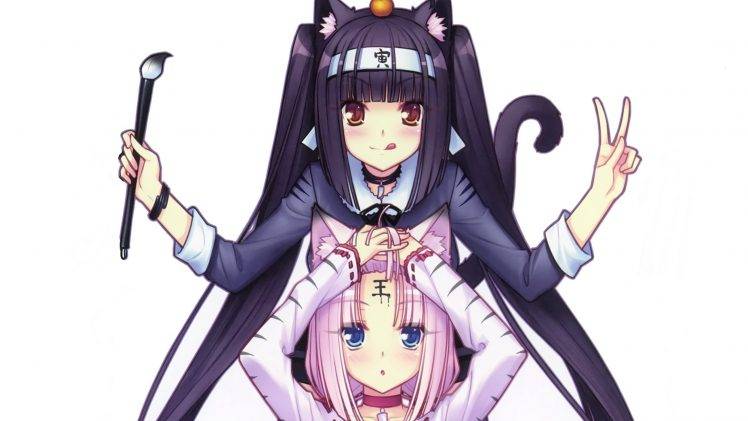 anime Girls, Nekomimi HD Wallpaper Desktop Background