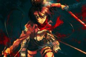 Shingeki No Kyojin, Mikasa Ackerman, Anime, Anime Girls
