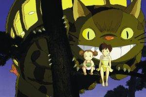 Studio Ghibli, Totoro, My Neighbor Totoro, Anime