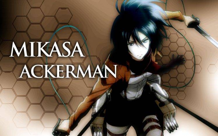 Shingeki No Kyojin, Mikasa Ackerman, Anime, Anime Girls HD Wallpaper Desktop Background