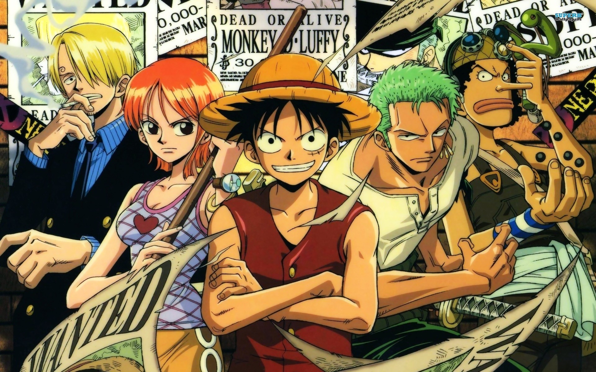One Piece, Monkey D. Luffy, Nami, Roronoa Zoro, Usopp, Sanji, Anime