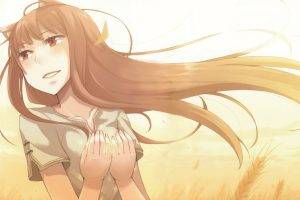 Spice And Wolf, Anime Girls