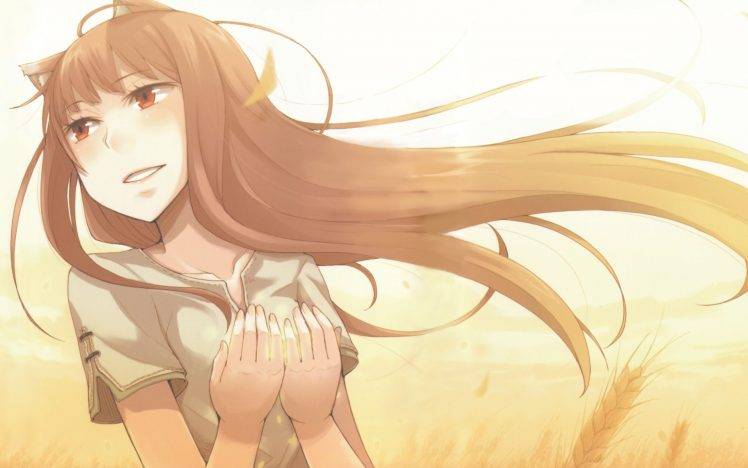 Spice And Wolf, Anime Girls HD Wallpaper Desktop Background