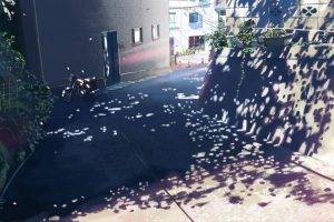 5 Centimeters Per Second, Anime, Makoto Shinkai, Sunlight, Plants, Pavements