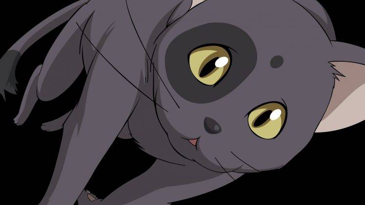 anime, Cat, Code Geass HD Wallpaper Desktop Background
