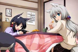 anime Girls, Nekomimi, Animal Ears, Original Characters