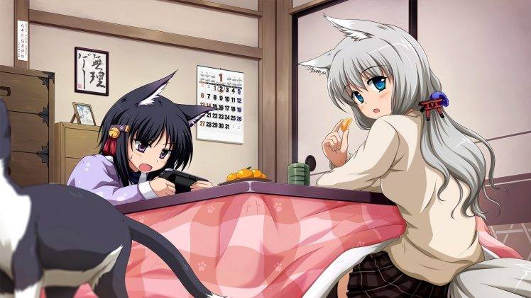 anime Girls, Nekomimi, Animal Ears, Original Characters HD Wallpaper Desktop Background