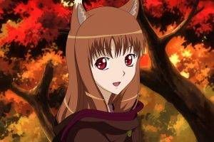 Spice And Wolf, Holo, Animal Ears, Inumimi, Anime, Anime Girls
