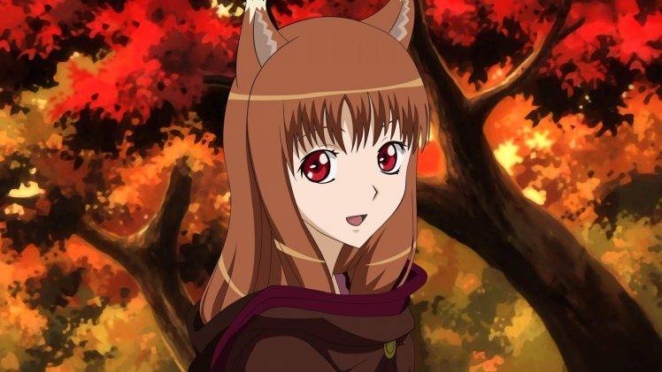 Spice And Wolf, Holo, Animal Ears, Inumimi, Anime, Anime Girls HD Wallpaper Desktop Background