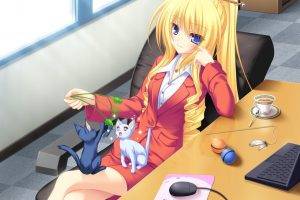 anime Girls, Cat, Neko Koi, Koshimizu Rei, Visual Novel