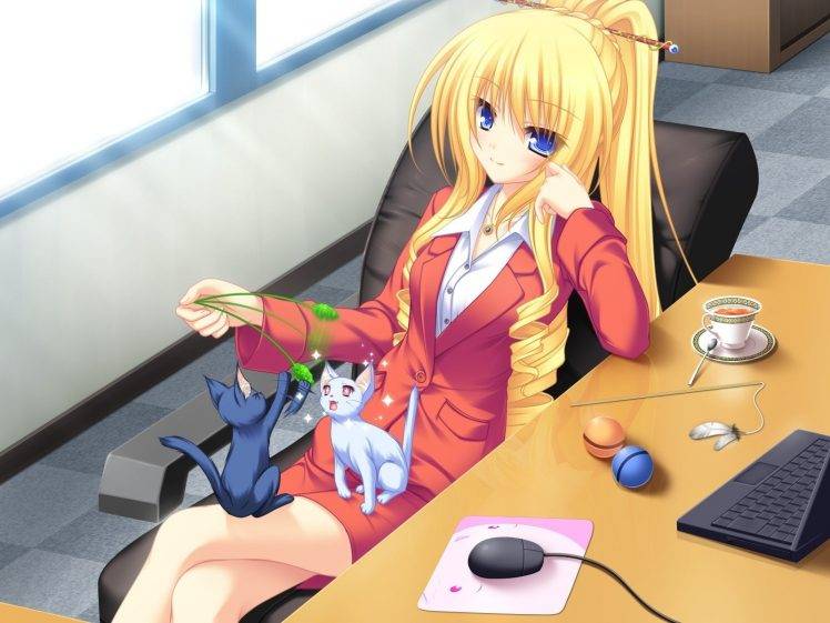 anime Girls, Cat, Neko Koi, Koshimizu Rei, Visual Novel HD Wallpaper Desktop Background