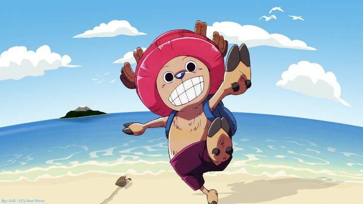 One Piece, Tony Tony Chopper HD Wallpaper Desktop Background