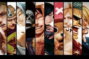 panels, Roronoa Zoro, Nami, Brook, Monkey D. Luffy, Nico Robin, Tony Tony Chopper, Sanji, Usopp, Princess Vivi, One Piece
