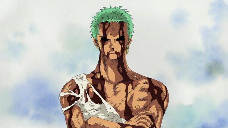 One Piece, Roronoa Zoro HD Wallpaper Desktop Background