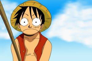One Piece, Monkey D. Luffy
