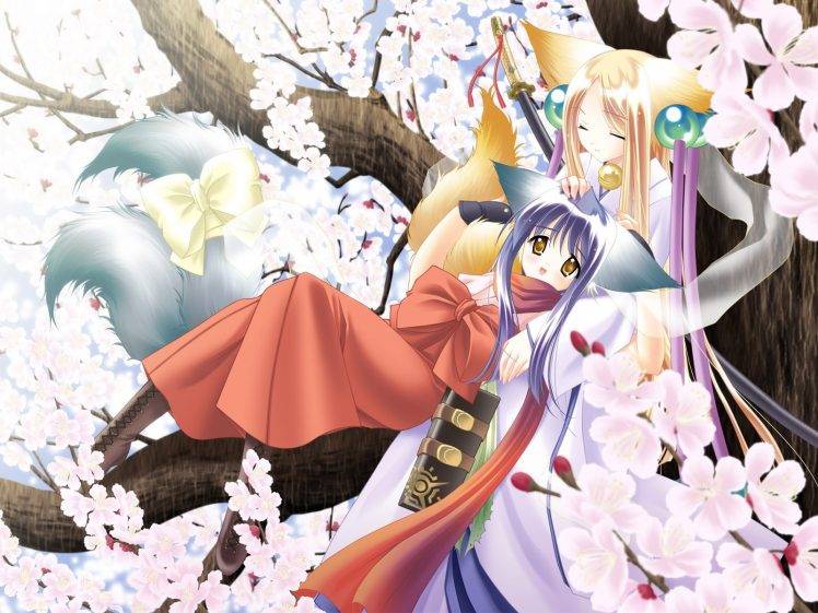 anime Girls, Anime, Animal Ears, Tail Tale HD Wallpaper Desktop Background