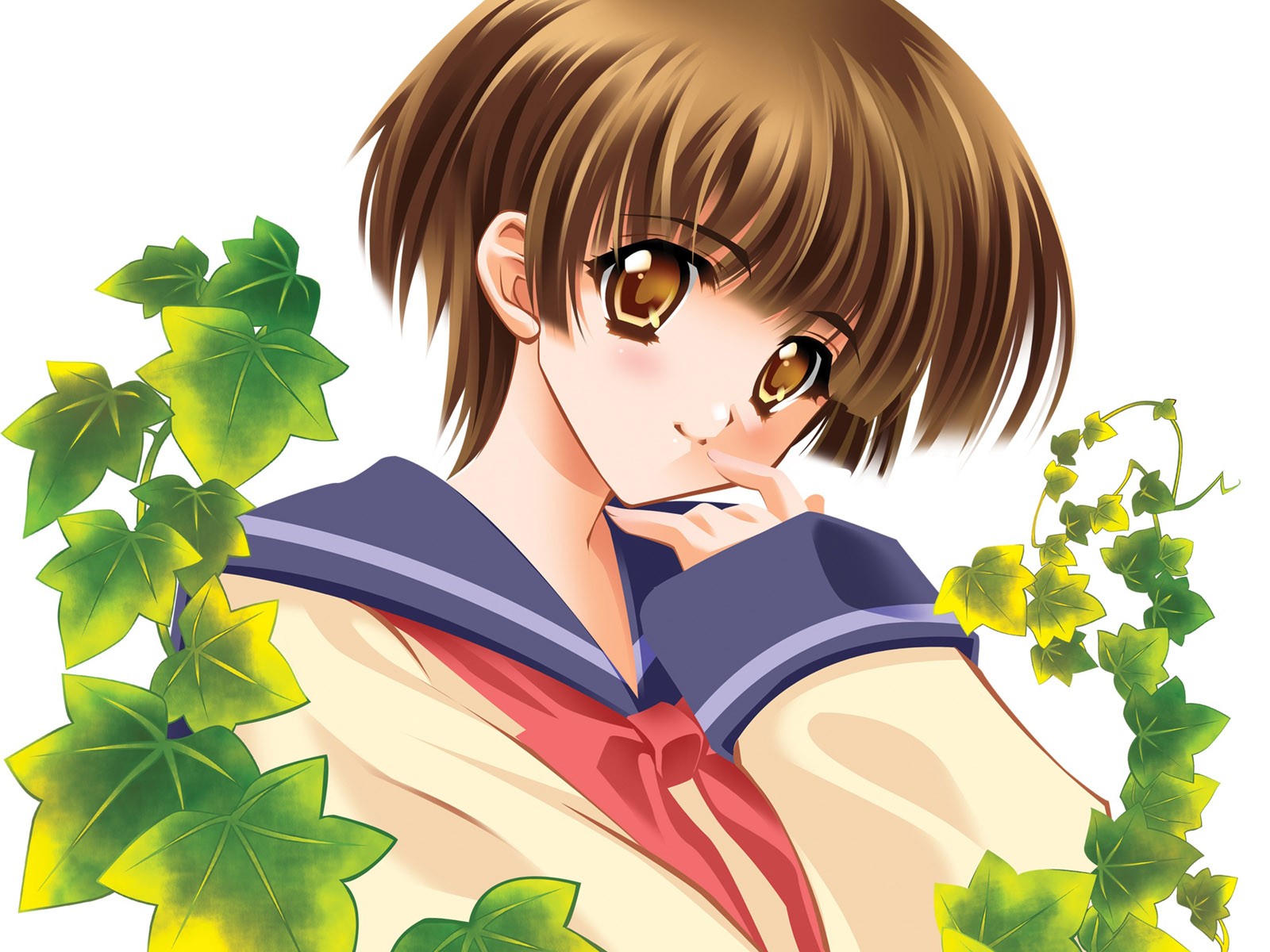 Download #senjougahara Hitagi - Anime Sexy Student Girl 