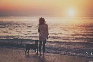 sea, Dog, Sunset, Beach, People