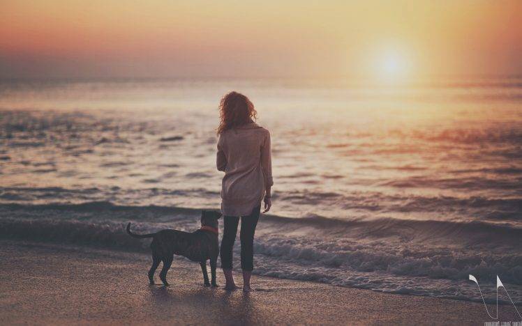 sea, Dog, Sunset, Beach, People HD Wallpaper Desktop Background