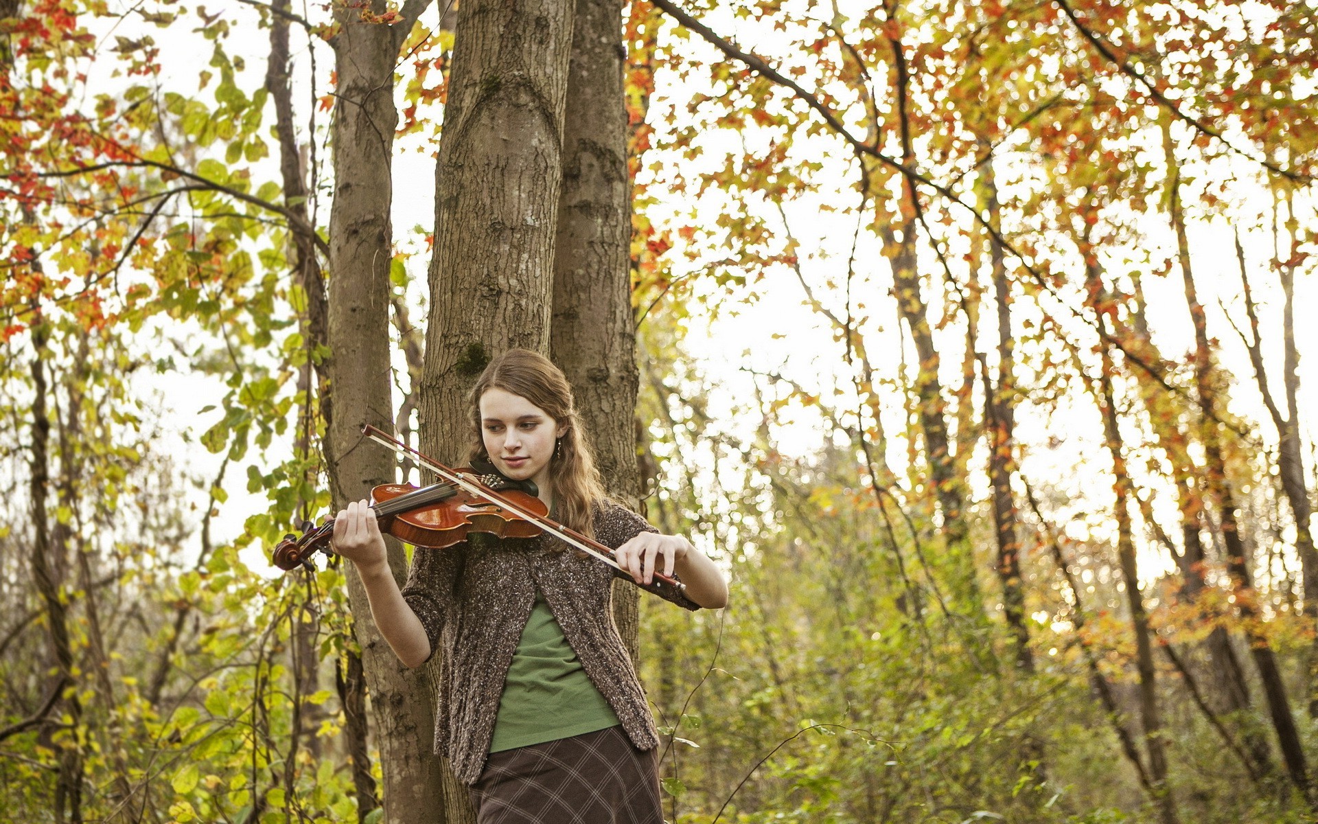 women, Trees, Violin Wallpaper