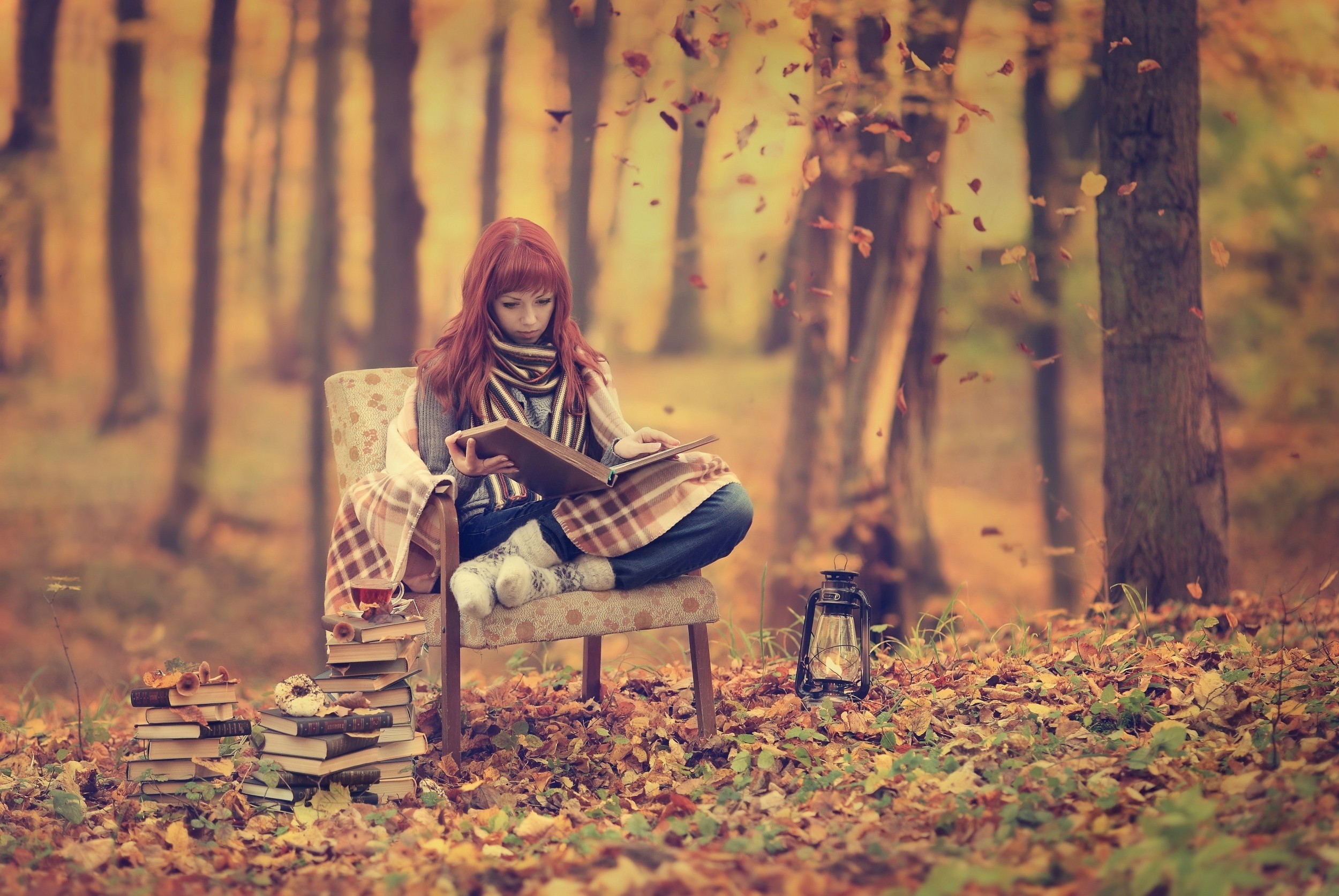 women, Fall, Reading, Forest Wallpaper