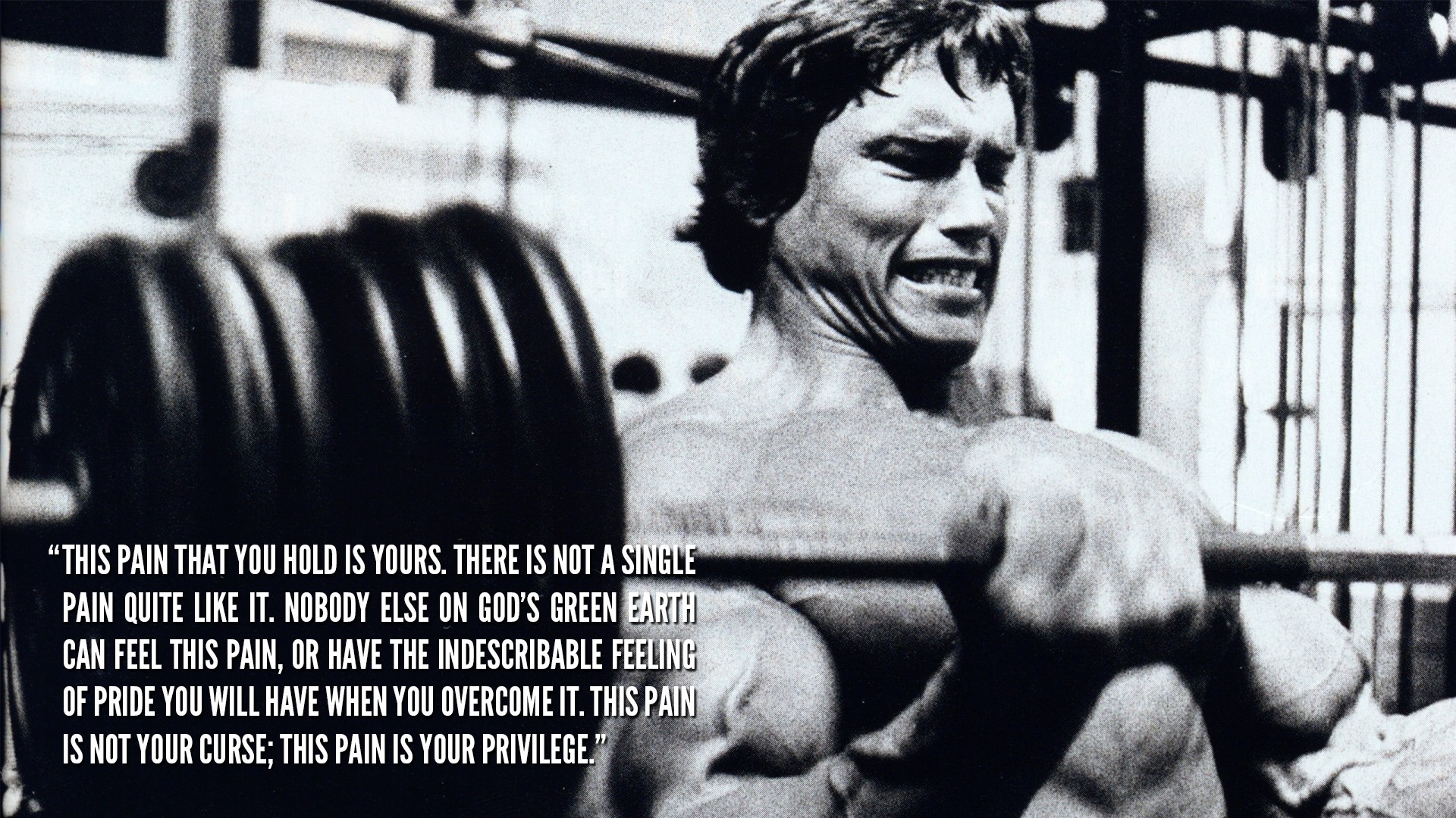 Arnold Schwarzenegger, Motivational, Quote, Bodybuilding, Bodybuilder Wallpaper